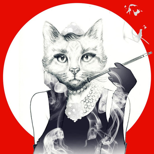 Feline of the night