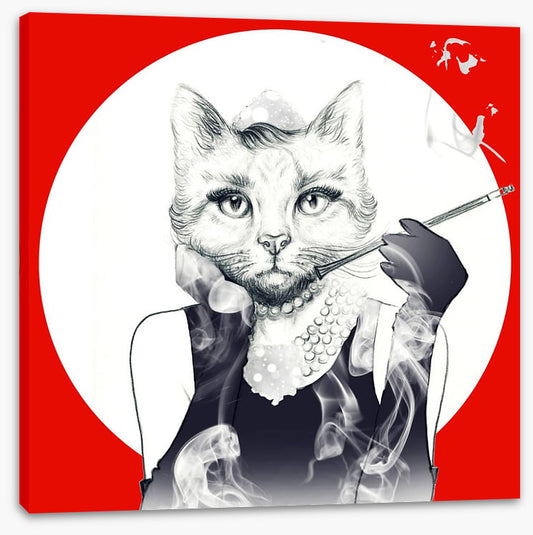 Feline of the night
