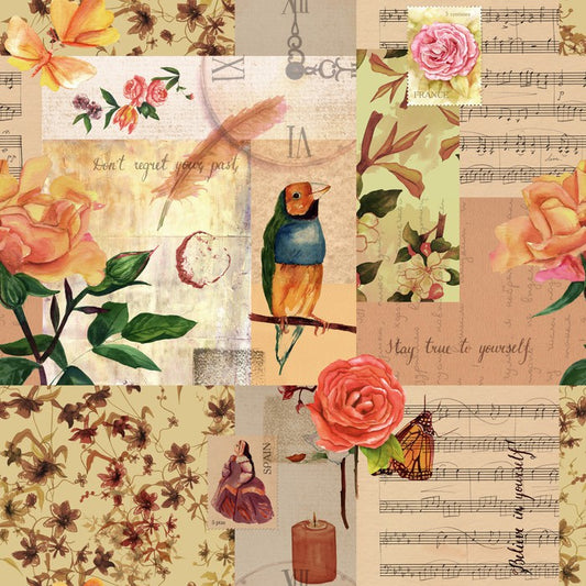Music and birds
