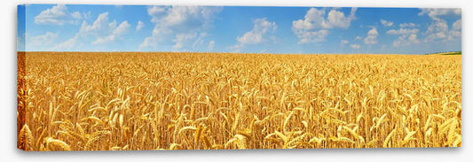Agriculture