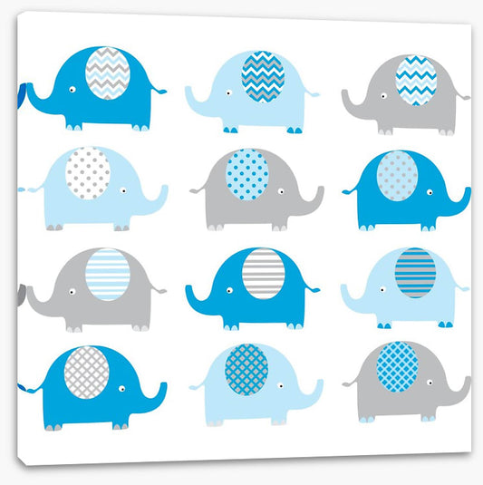 Baby blue elephants