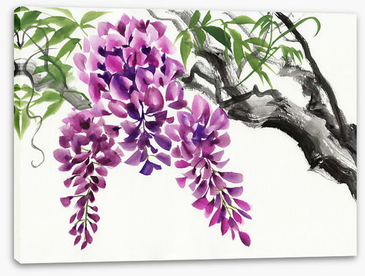 Wisteria blossom
