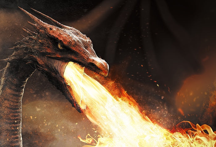 Dragons