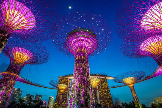 Singapore supertree