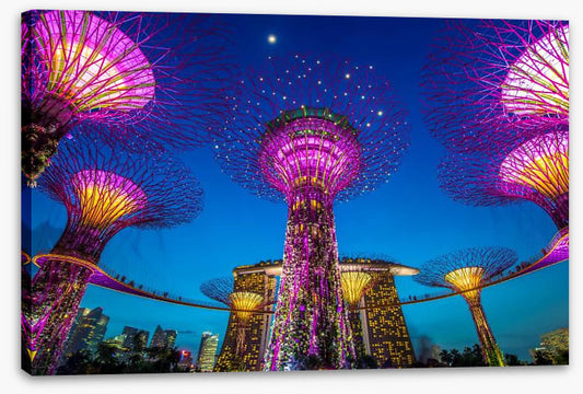 Singapore supertree