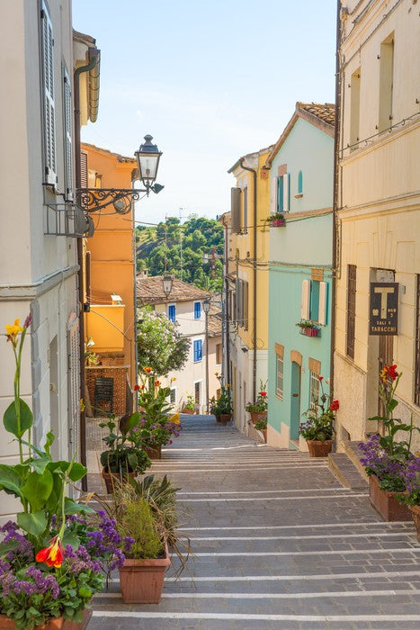 Down the Adriatic alley