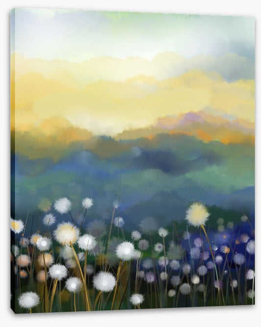 Meadow morning