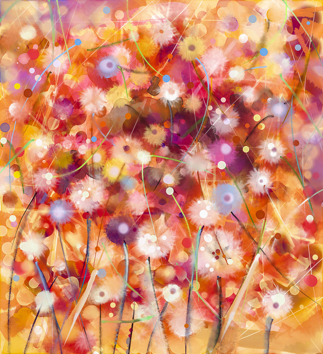 Midsummer meadow