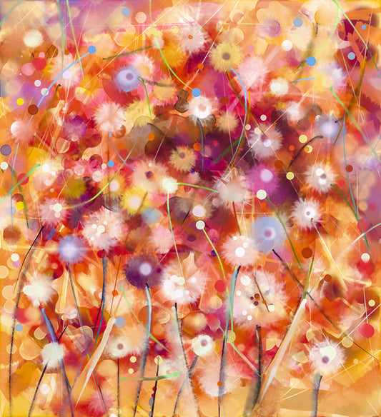 Midsummer meadow
