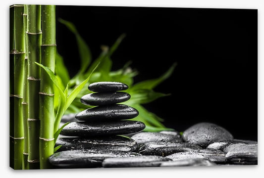 Balance and bliss