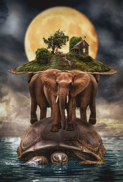 Natural history