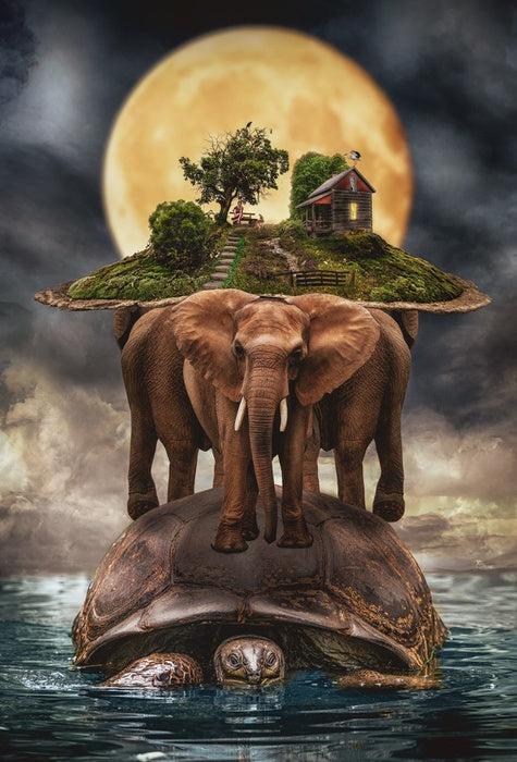 Natural history