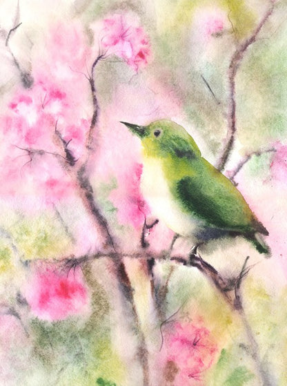 Spring serenade