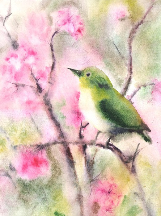 Spring serenade