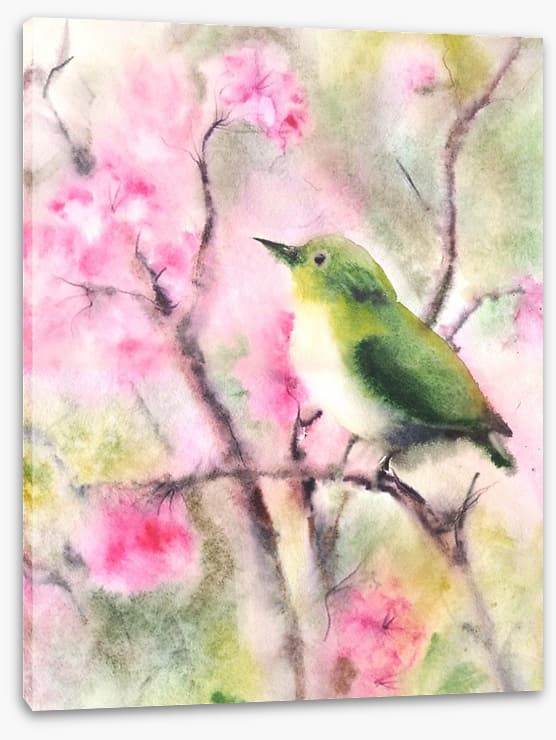 Spring serenade