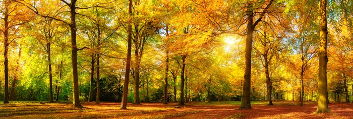 Falling light panorama