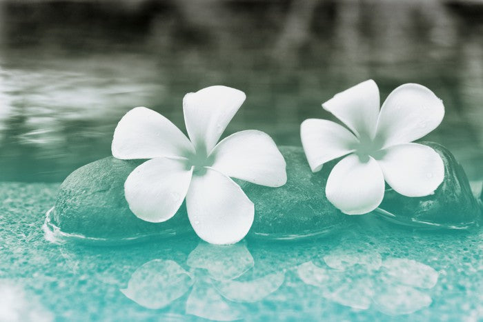 Purity blooms