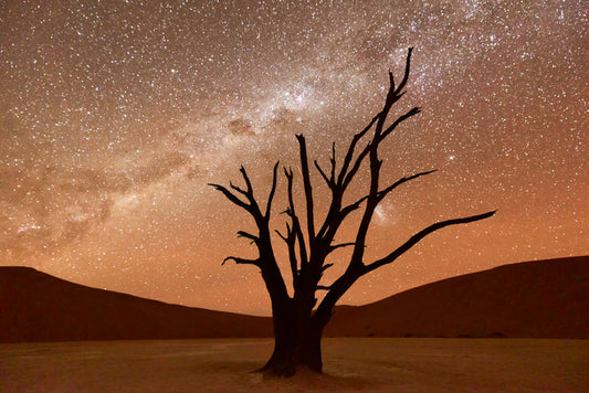 Namibian nights