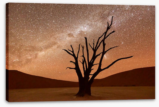 Namibian nights