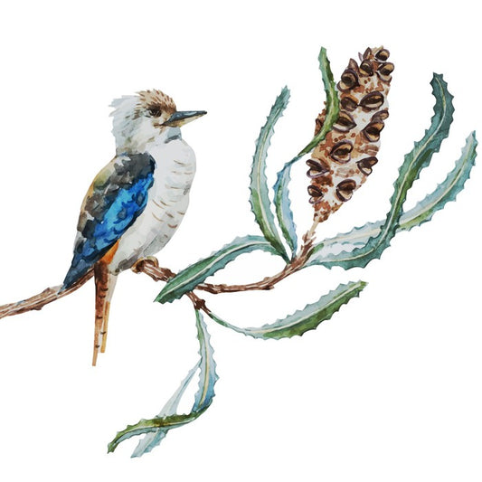 Little kookaburra