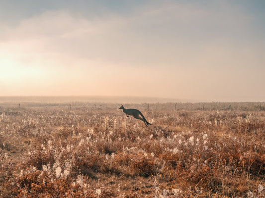 Boundless plains