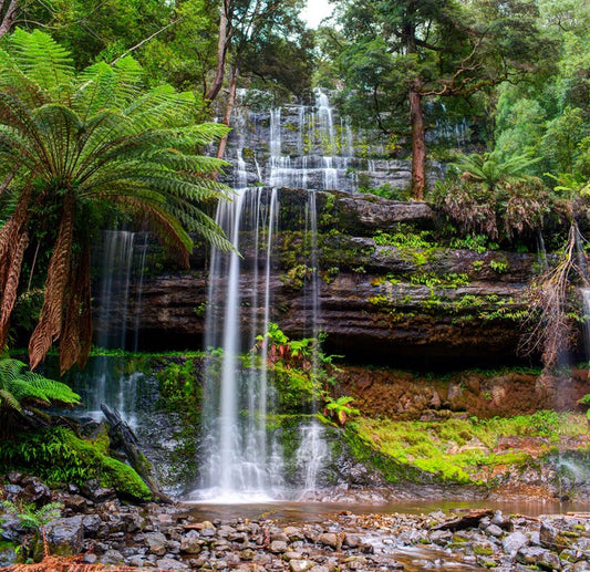 Russell Falls Creek