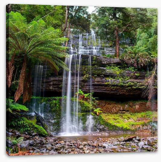 Russell Falls Creek