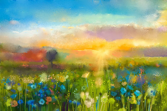 Wildflower meadow at sunset