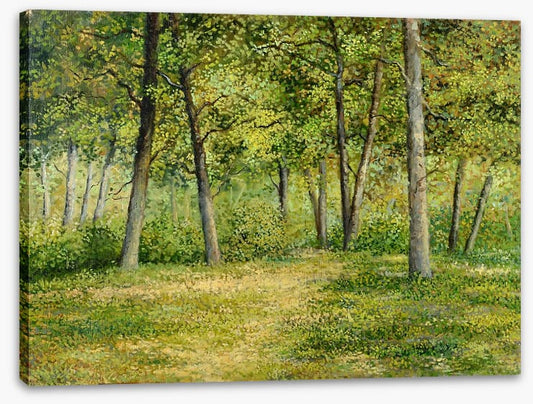 Forest fringe