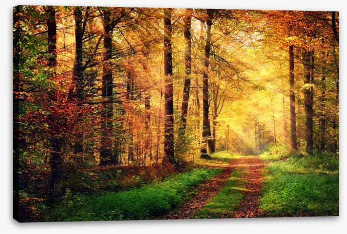 Where autumn takes you