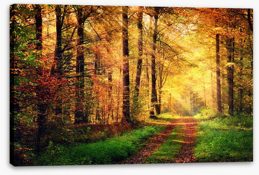 Where autumn takes you