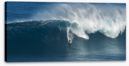 Surfing panorama