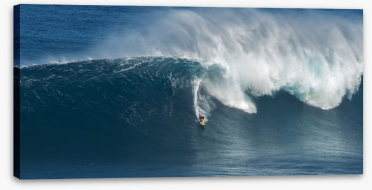 Surfing panorama