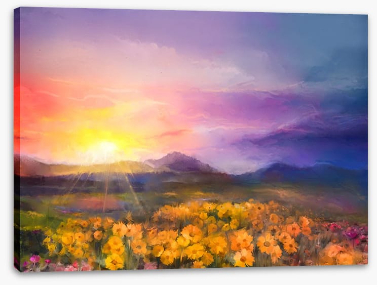 Golden daisy sunset