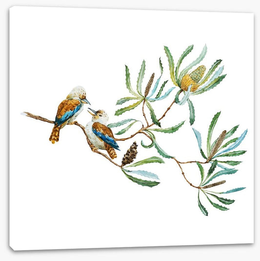Kookaburra grove