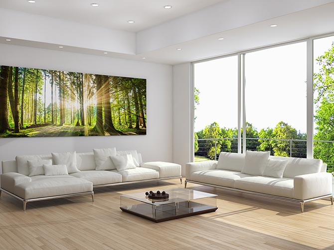 Sunbeam forest panorama
