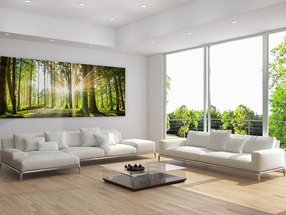Sunbeam forest panorama
