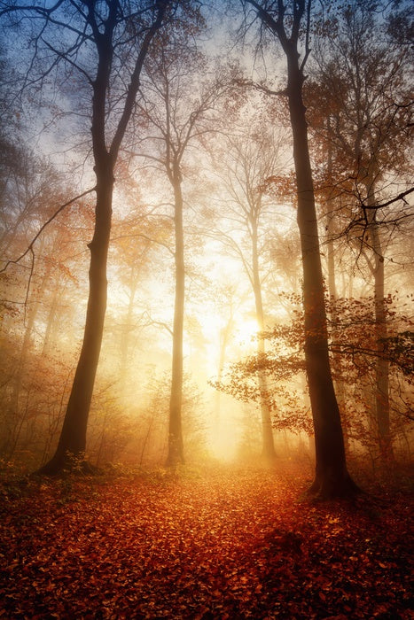 Golden moment