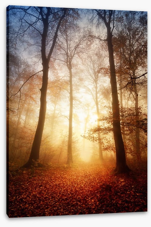 Golden moment