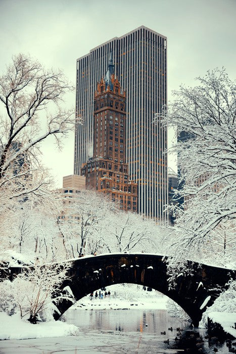 Central Park chill