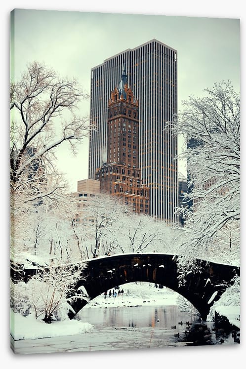 Central Park chill