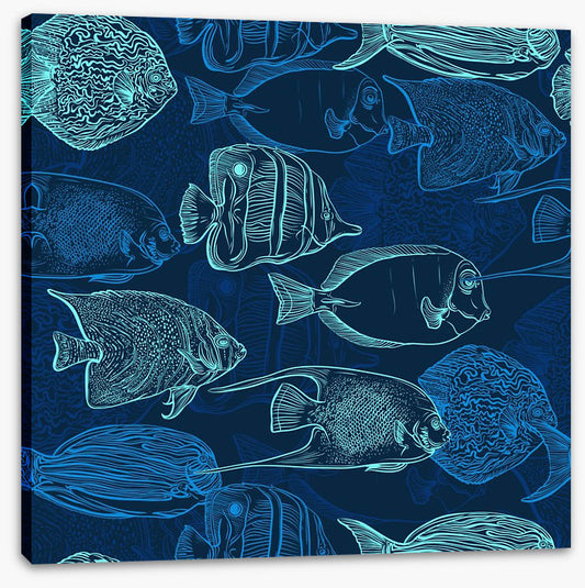 Deep sea swim