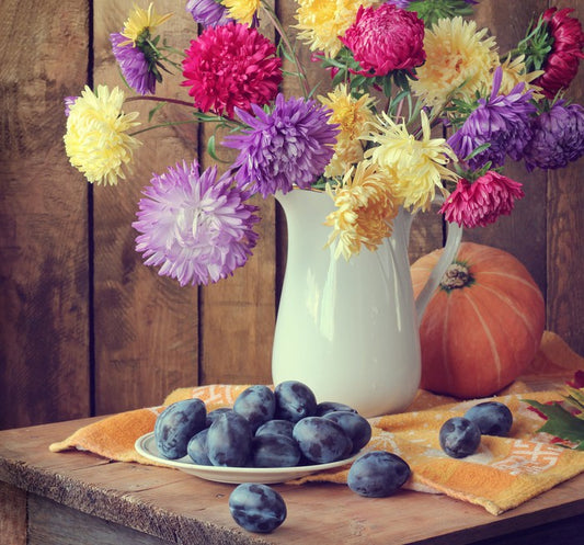 Still Life