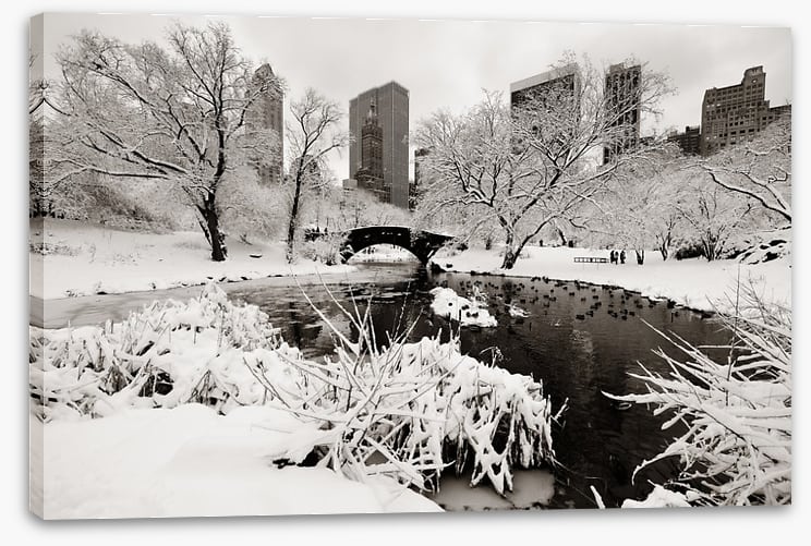 After the snowstorm