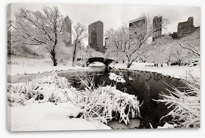 After the snowstorm