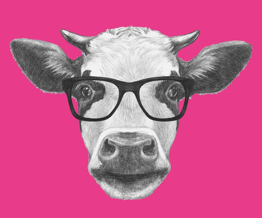 Too cool for moo