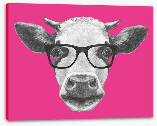 Too cool for moo
