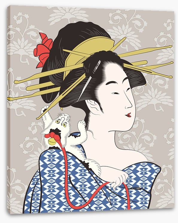 The cat on the kimono