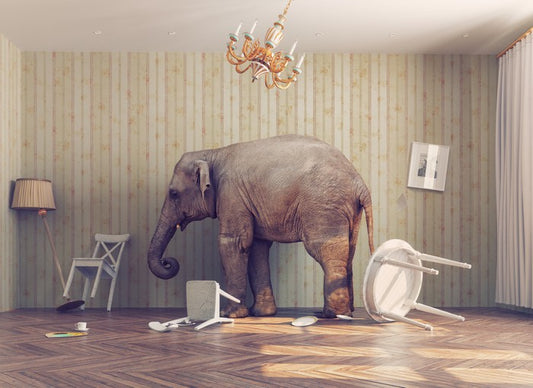 Elephant in the room