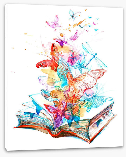 The butterfly book